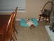 DSCF0493.JPG