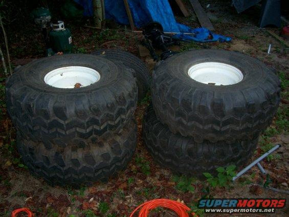 set-of-39.5-tsls.jpg 