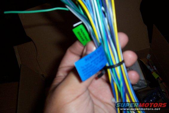 Wiring harness with blue and green labels