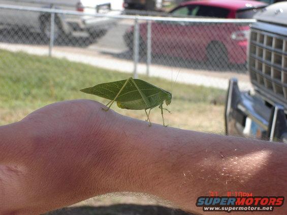 dsc00055.jpg What is this?