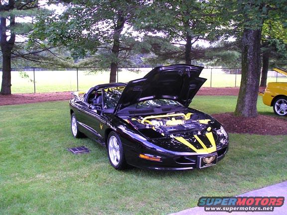 trans-am035.jpg