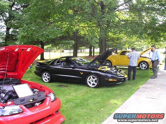 trans-am040.jpg