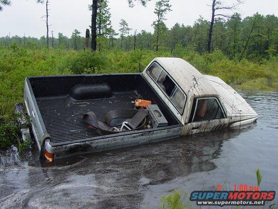 Truck submerged in water, front end underwater, in a wooded area