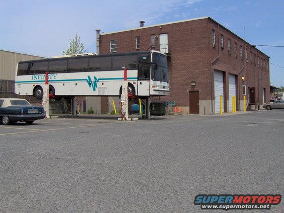 White bus with teal stripe on lift, next to a dark sedan