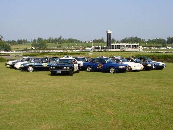 Several police Mustangs parked on a grassy field with a racetrack and buildings in the background