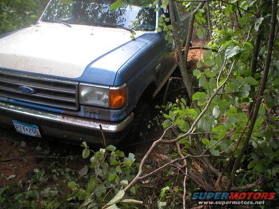 Blue and white Ford truck with off-road plate stuck in trees
