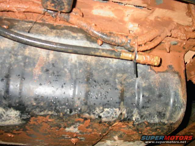 dscn5261.jpg Rear hose.   I originally intended for the tie wrap to just be a temporary thing, but it's held the hose there for better than a dozen wheeling trips.  No reason to mess with success.