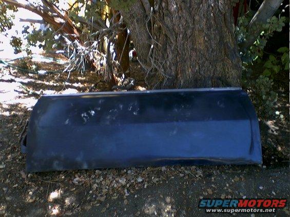 Dark-colored tailgate lying on the ground under a tree