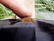 1989 Ford F-250 - A penny is used to check the tread depth of a tire, indicating wear.