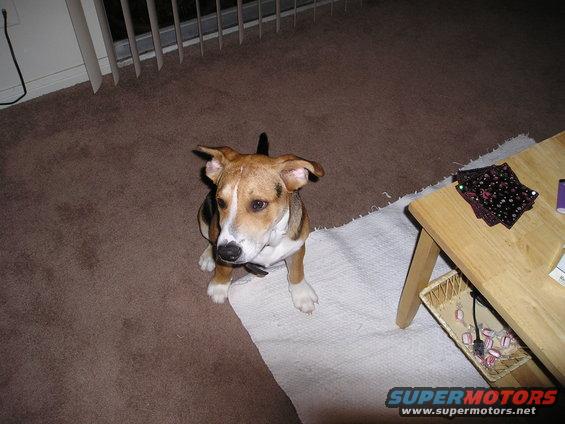 picture-943.jpg 