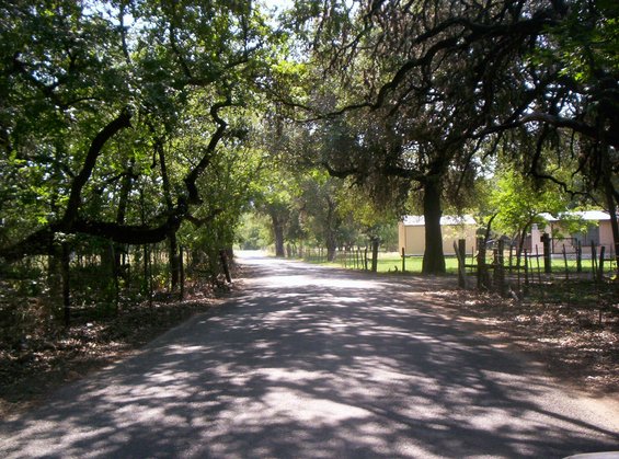 image055.jpg Road to Mickey's House.