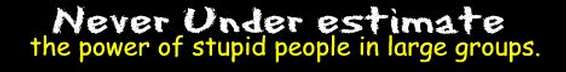 Text reads 'Never Underestimate the power of stupid people in large groups.'