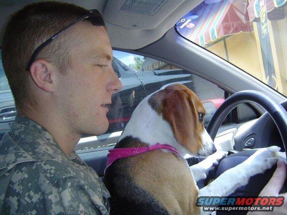 Whitneys test drive
