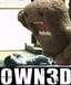 1999 Ford Crown Victoria - A Domo-kun plush toy appears to have 'owned' a person lying on the ground, with website text visible.
