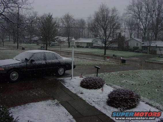 Black sedan covered in snow, parked on a driveway in a suburban neighborhood during a snowfall