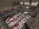 1999 Ford Crown Victoria - This is a screenshot of a video game scene covered in blood splatters.