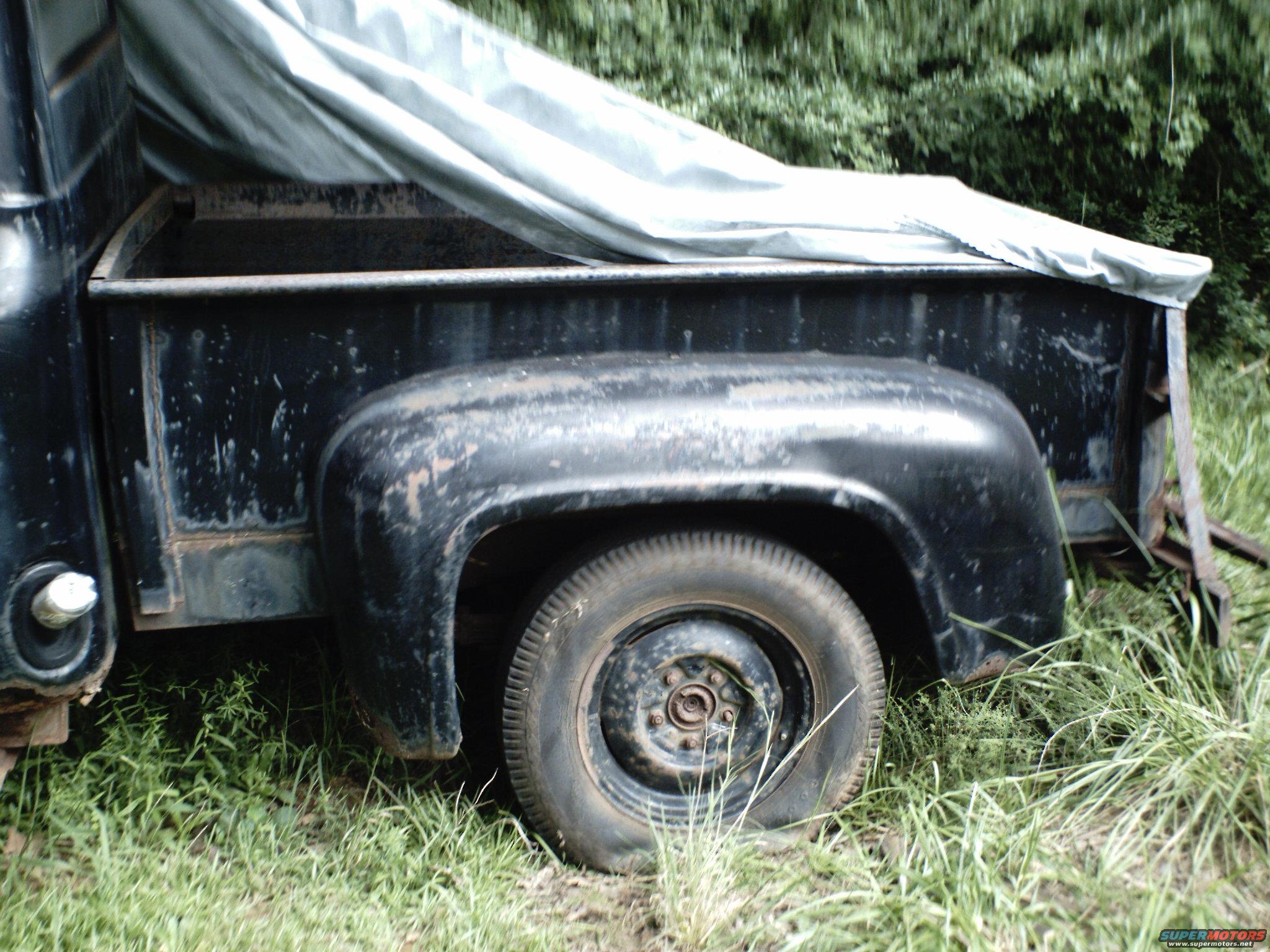 1955 Ford F-100 “american beauty”