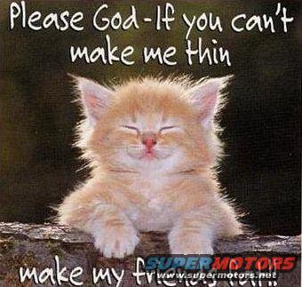 Fluffy orange kitten with eyes closed, sitting on a log. Text above says 'Please God - If you can't make me thin', and text below says 'make my friends...'. Website www.supermotors.net is visible