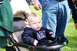 1979 Ford Bronco - A baby with a mohawk hairstyle sits in a stroller, wearing a GAP sweatshirt.