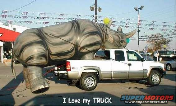 White pickup truck carrying a large inflatable rhinoceros, side view