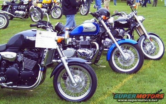 33460066.jpg New Triumphs