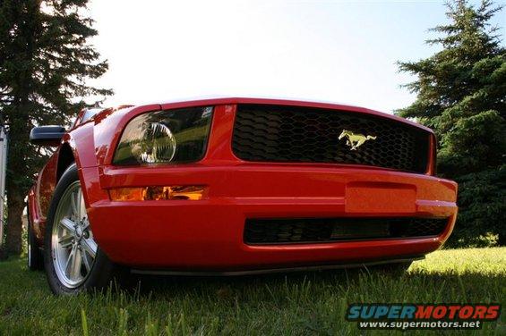 Red 2005 Ford Mustang front end with honeycomb grille and horse emblem