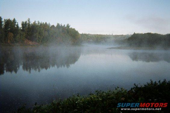 Misty lake with trees on the far bank and foreground bushes