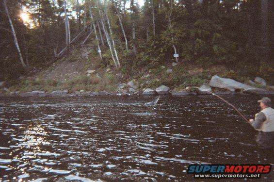 Man fishing in a river with trees on the bank