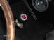 1998 Ford Crown Victoria - go baby go