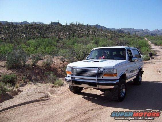 White Ford Bronco on a dirt road with saguaro cacti in the background