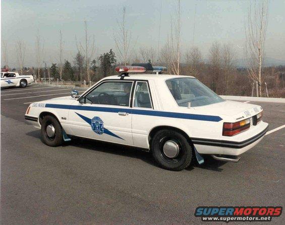 1983 SSP. First year WSP bought Mustangs. A total 30 were bought that year. 

Note the 1981 WSP Pontiac Trans-Am in the background.