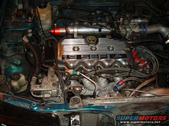Engine bay with a 1991 Ford Probe 1.9L SEFI engine, chrome valve cover, and turbocharger components
