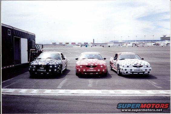 Three 1995 Ford Mustangs with star graphics and 'COBRA' text on the front