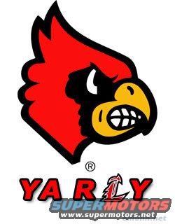 uofl_yarly.jpg 