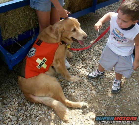 Search and rescue dog with kids