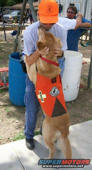 search--rescue-dog-hugging-handler.jpg Search and rescue dog with handler