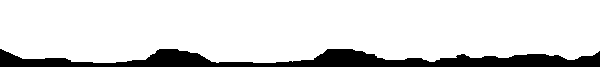 linie0621.gif 