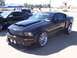 2002 Ford Mustang - A black Ford Mustang GT with custom chrome wheels is displayed at a car show.