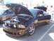 2002 Ford Mustang - A black Ford Mustang GT is displayed with its hood and driver's door open at a car show.