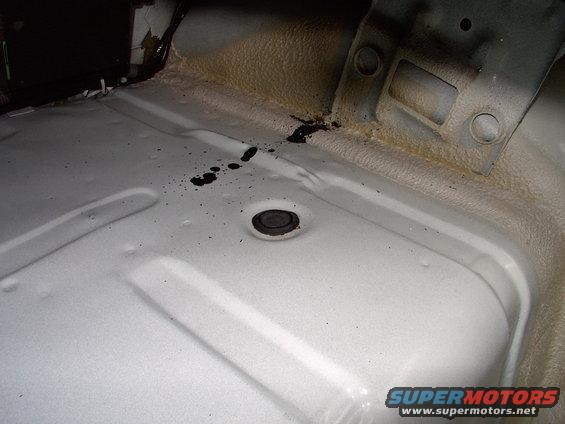 img_0201.jpg Naked trunk. There's a shot of one of the shock access plugs