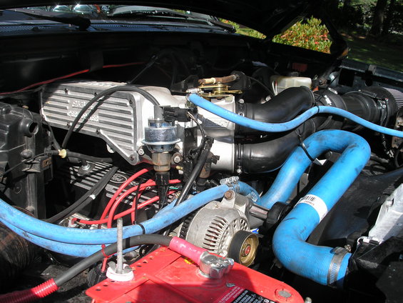 Engine bay with blue hoses, aftermarket intake, and red battery terminals