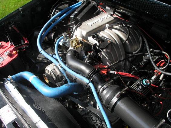 Engine bay with blue hoses, red battery, and a silver intake manifold labeled "Edelbrock"
