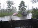 1990 Ford Bronco - Off-road vehicles navigate through a flooded path surrounded by trees.