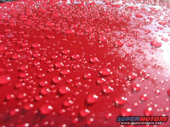 Red car hood covered in water droplets, close-up
