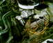 1983 Chevrolet Suburban - heres the new parts installed Holley street dominator intake, Water pump, Holley 600cfm carb, plugs, accel wires, blust…