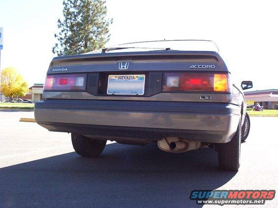 rearend.jpg Look at that gorgous ass!