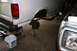 1987 Ford Bronco - The drums are SHOT, but believe it or not, the innards are brand, spankin, NEW!
