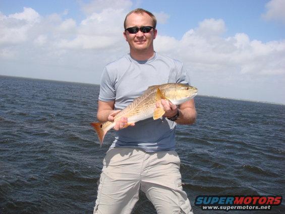 dsc00611.jpg Redfish 1