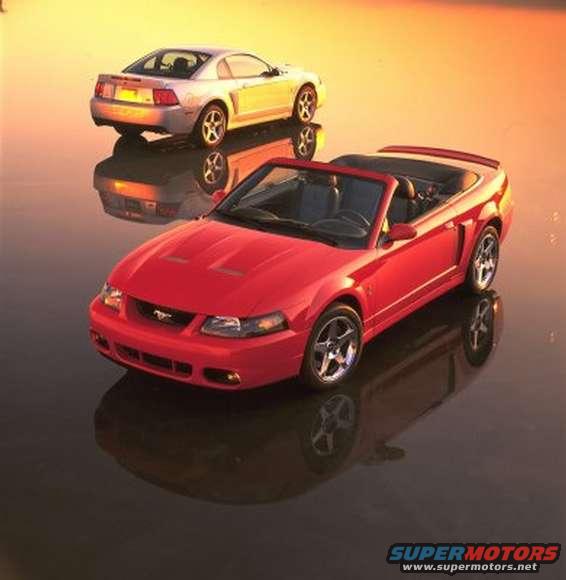 Red 2003 Ford Mustang convertible and silver 2003 Ford Mustang coupe on a reflective surface
