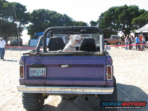 img_2905.jpg guard dog